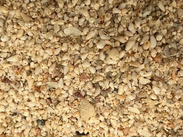 2kg Fine Bird grit - Click Image to Close